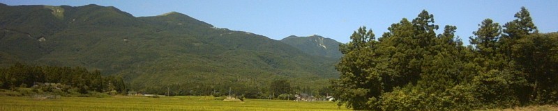 高本農園